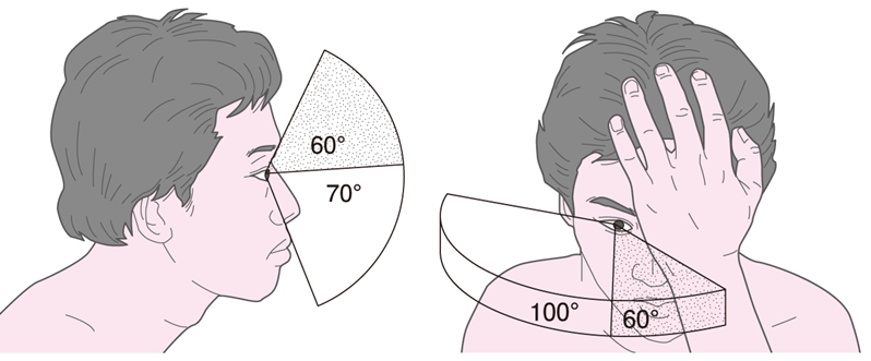 医師の診察を受ける時期